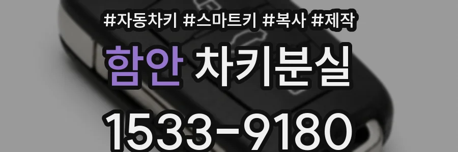 함안 차키분실