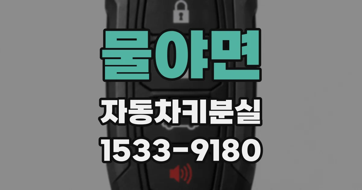 물야면 자동차키분실