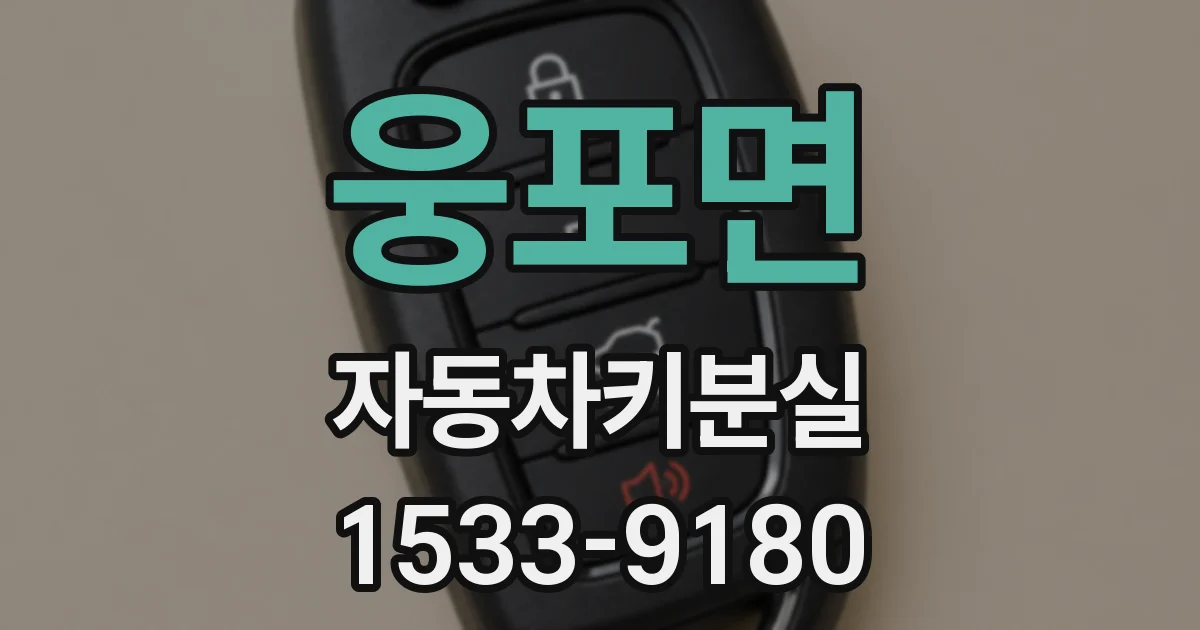 웅포면 자동차키분실