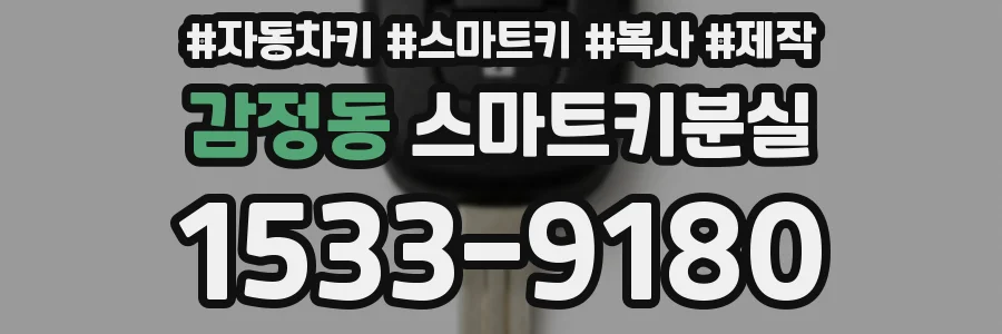 감정동 스마트키분실
