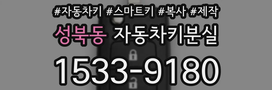 성북동 자동차키분실