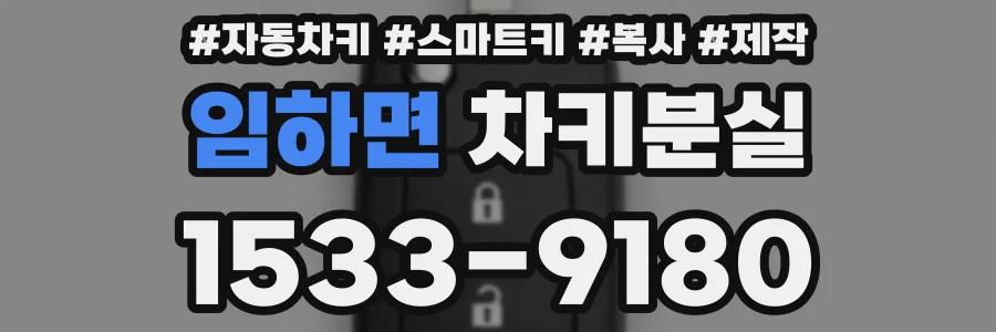 임하면 차키분실