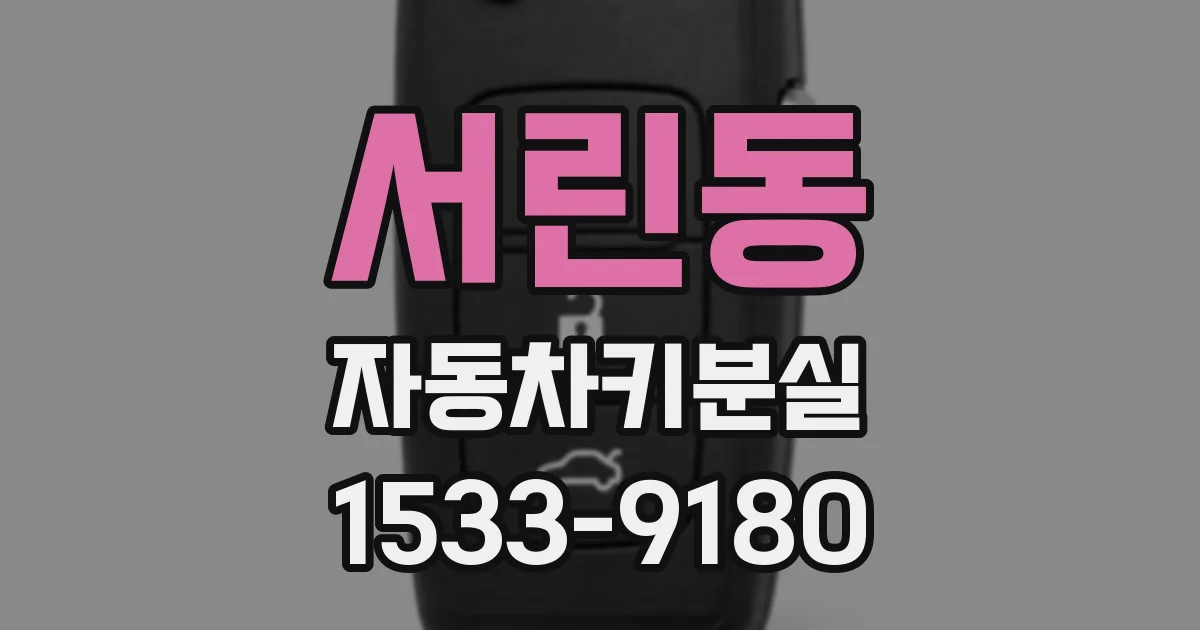 서린동 자동차키분실