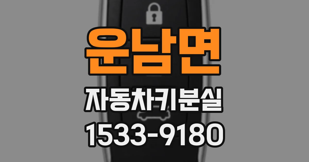 운남면 자동차키분실