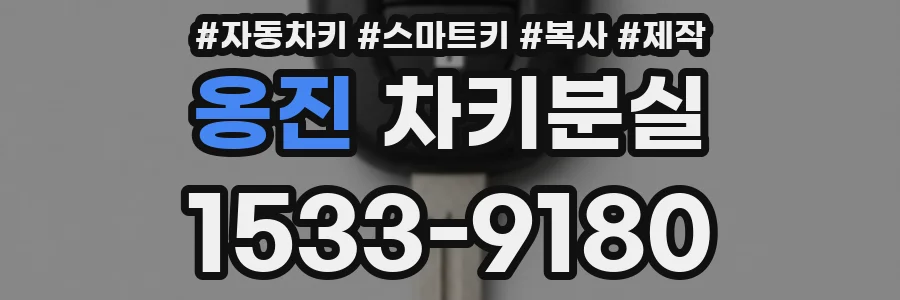 옹진 차키분실