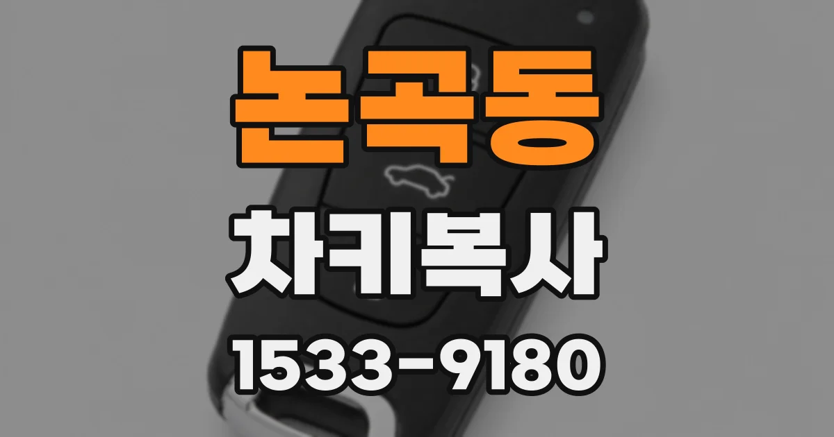 논곡동 차키복사