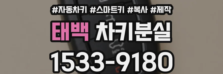 태백 차키분실