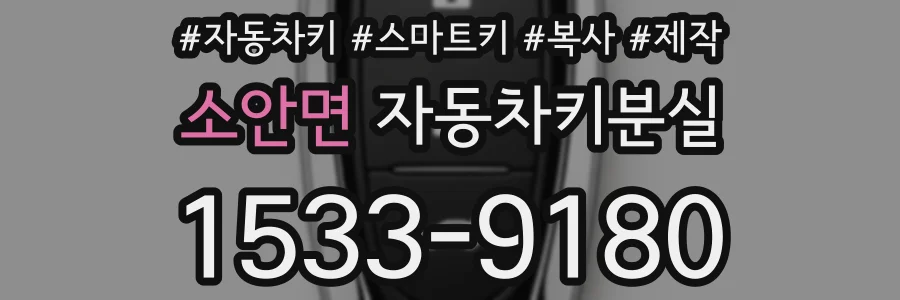소안면 자동차키분실