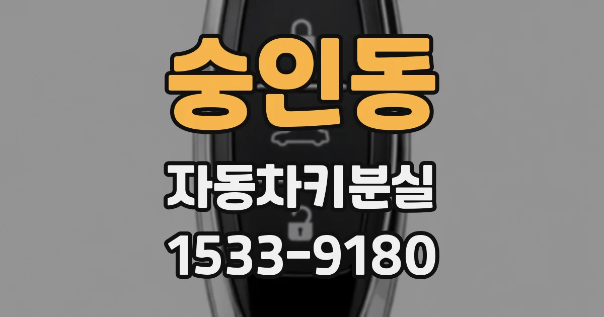 숭인동 자동차키분실
