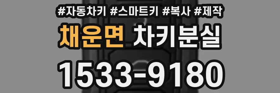 채운면 차키분실