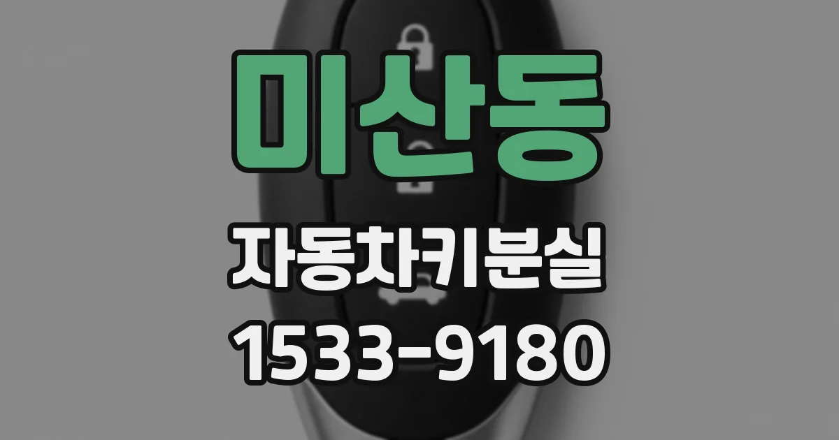 미산동 자동차키분실