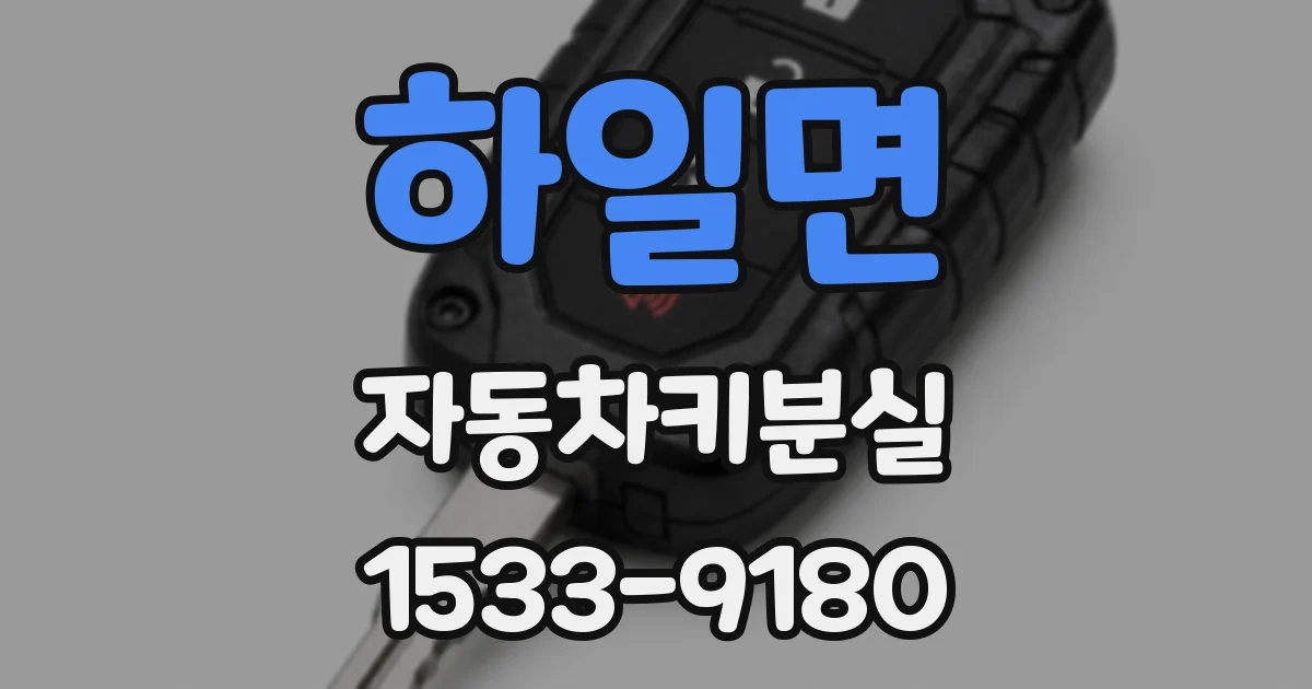 하일면 자동차키분실