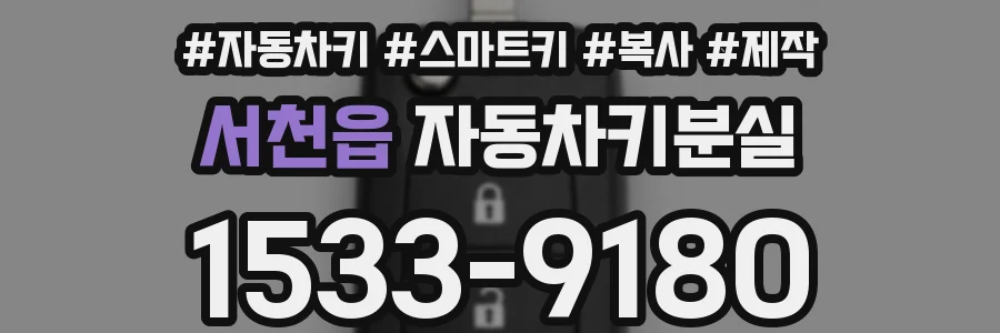 서천읍 자동차키분실