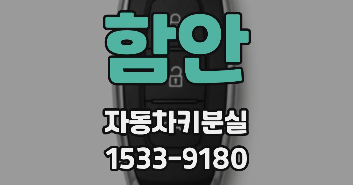 함안 자동차키분실