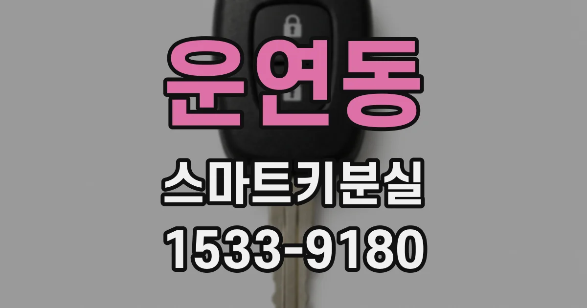 운연동 스마트키분실