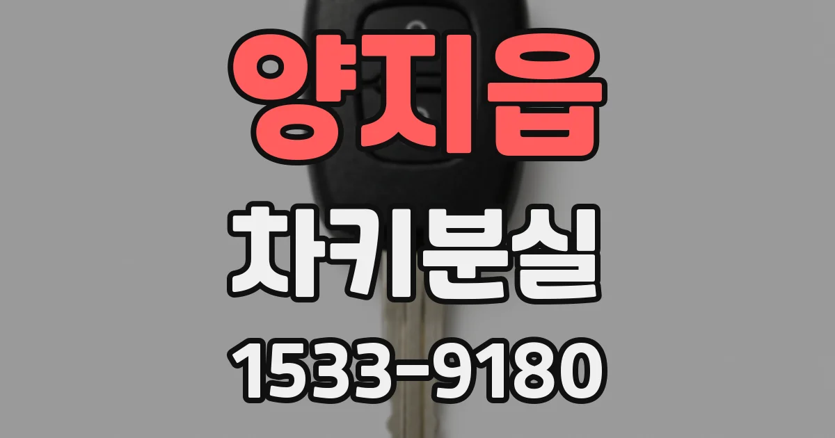 양지읍 차키분실