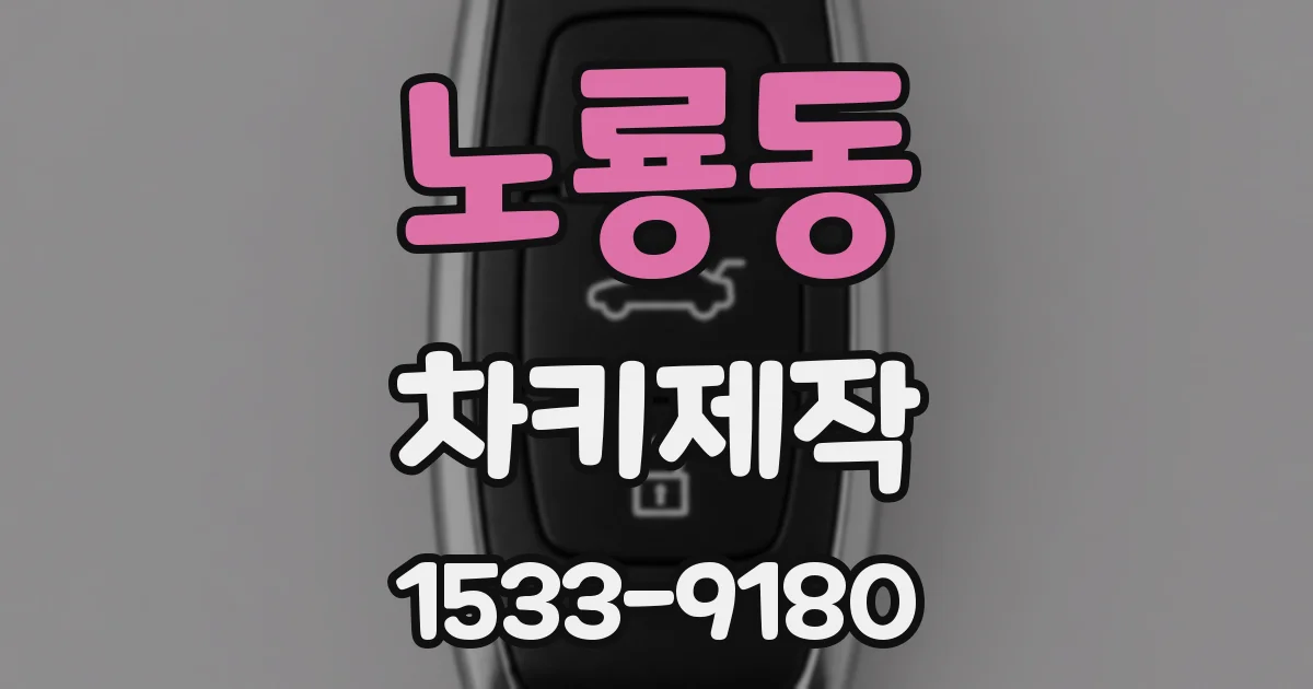 노룡동 차키제작