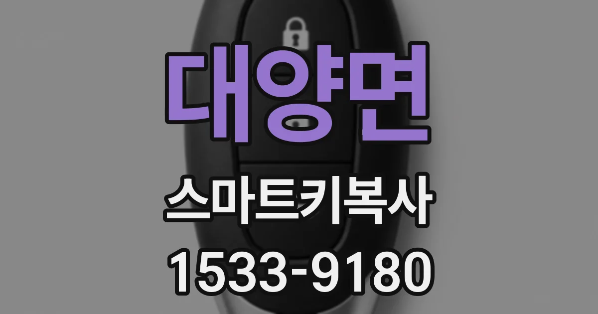 대양면 스마트키복사
