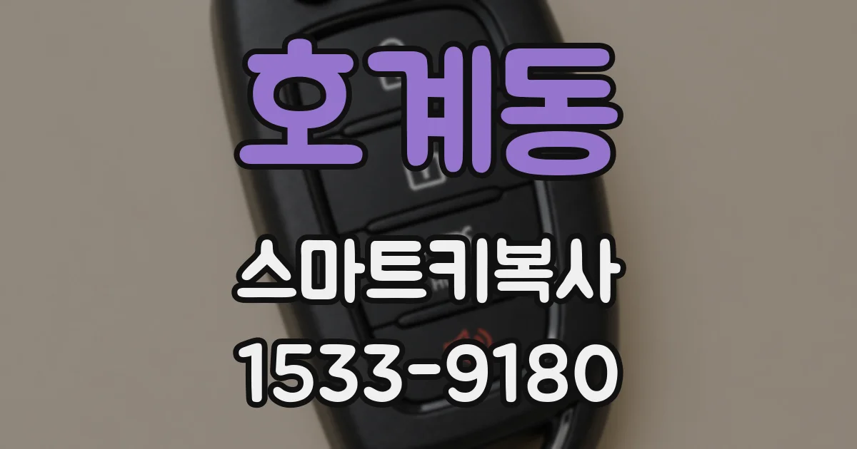 호계동 스마트키복사