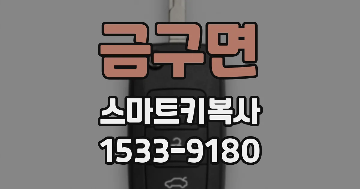 금구면 스마트키복사
