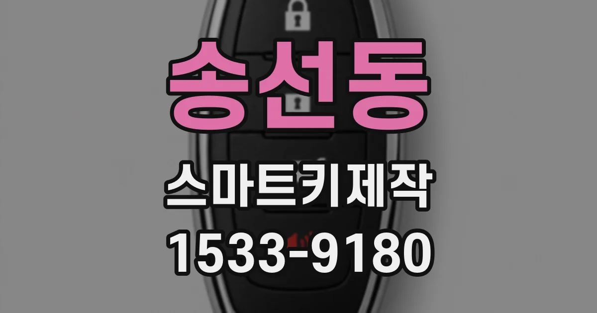 송선동 스마트키제작