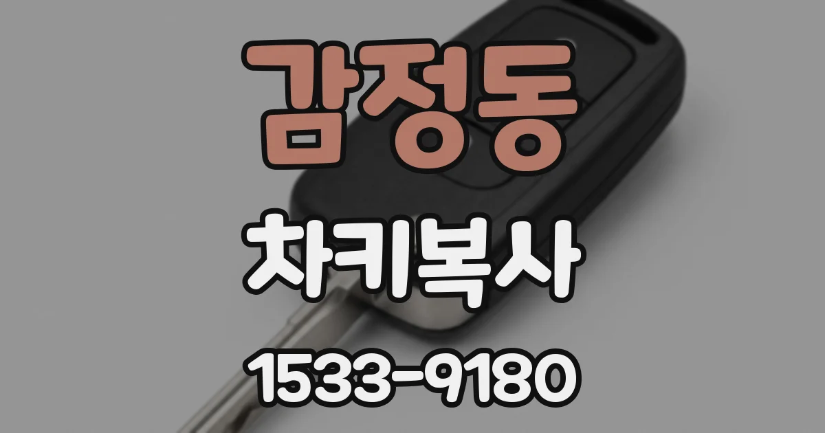 감정동 차키복사