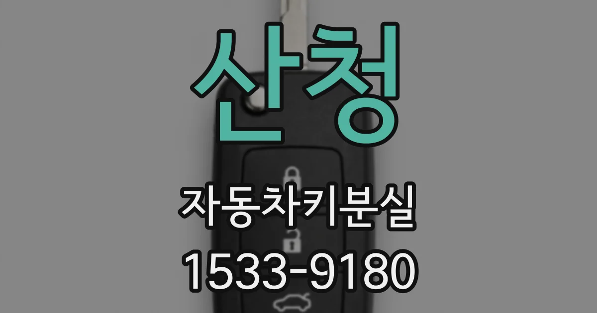 산청 자동차키분실