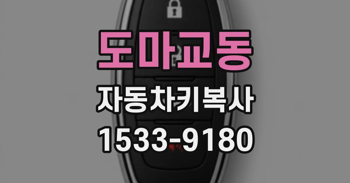 도마교동 자동차키복사