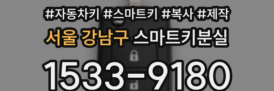 서울 강남구 스마트키분실