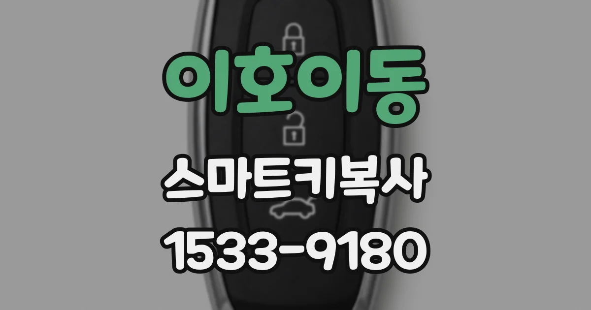 이호이동 스마트키복사