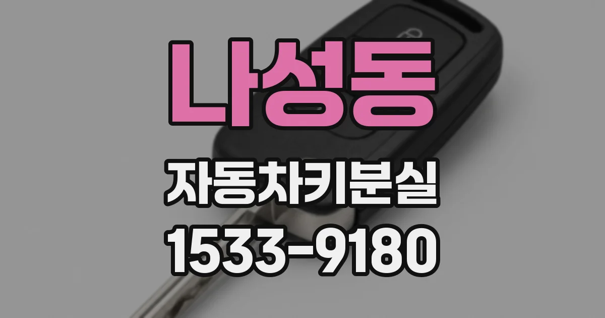 나성동 자동차키분실