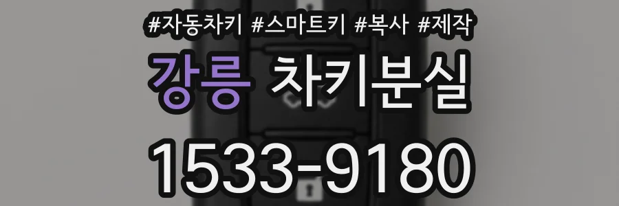 강릉 차키분실