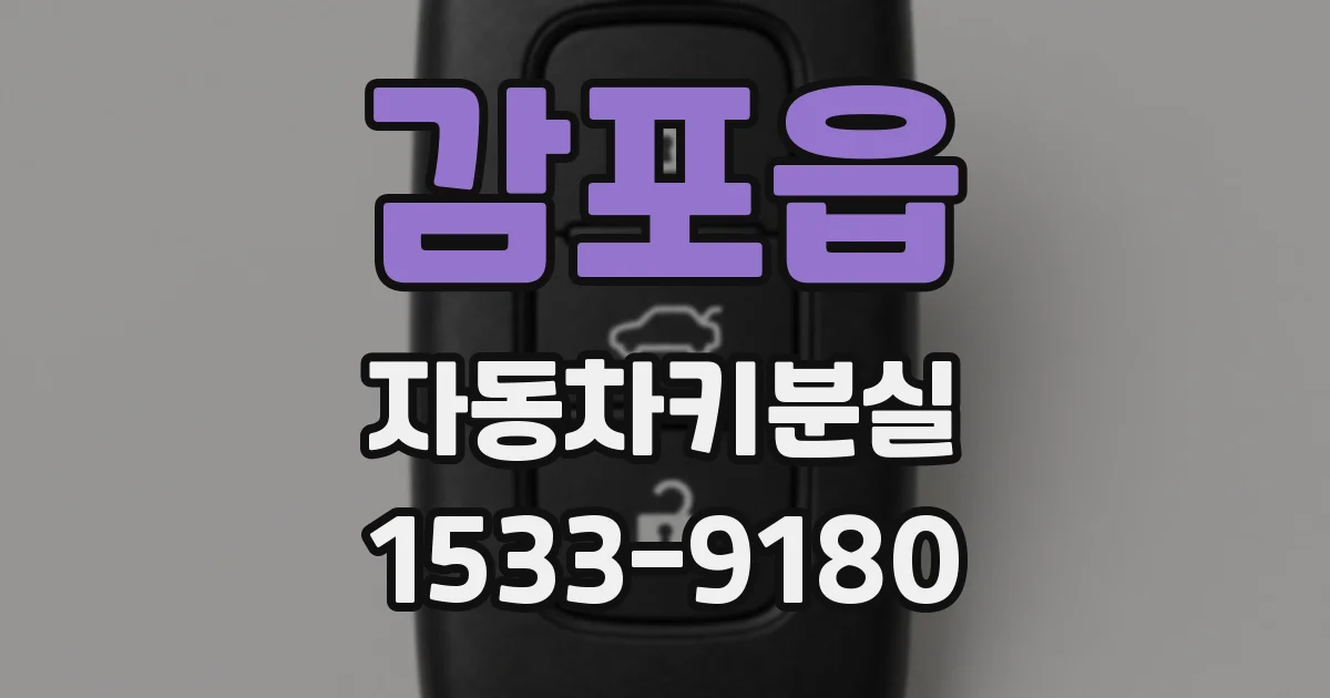 감포읍 자동차키분실