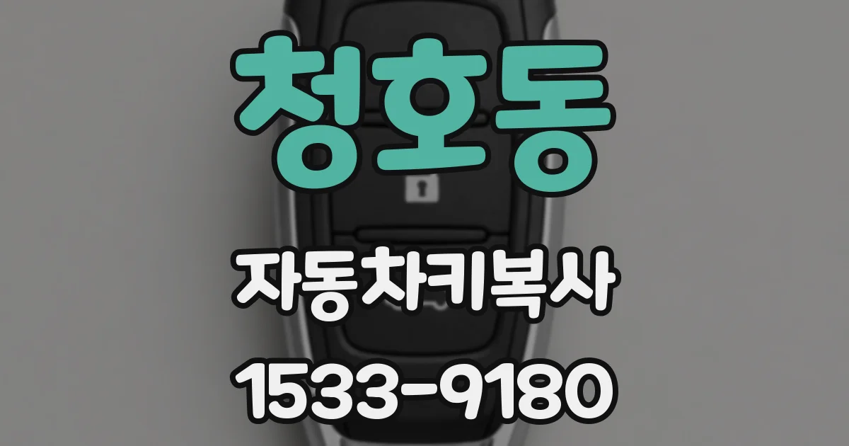 청호동 자동차키복사