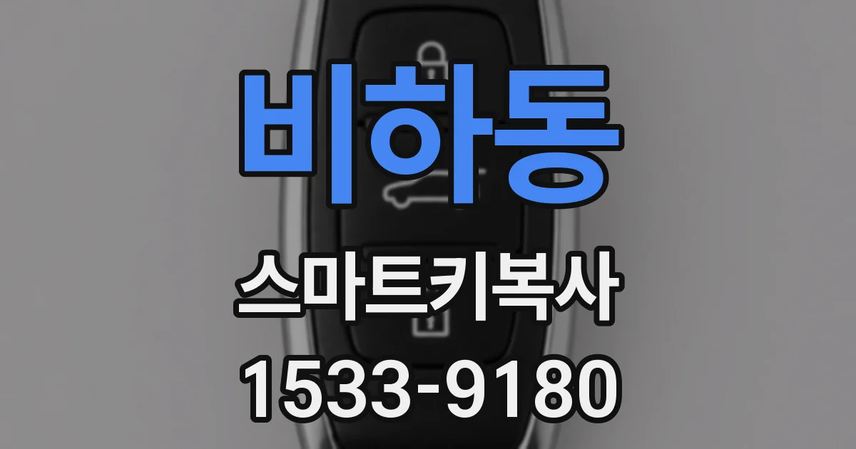 비하동 스마트키복사