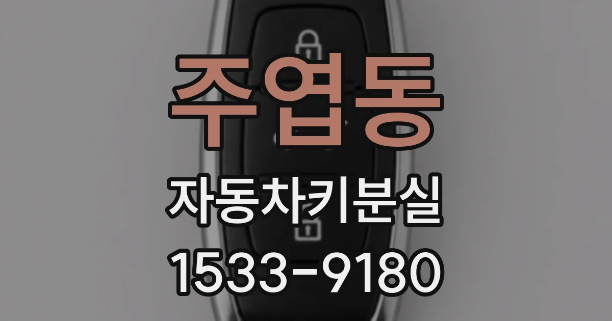 주엽동 자동차키분실