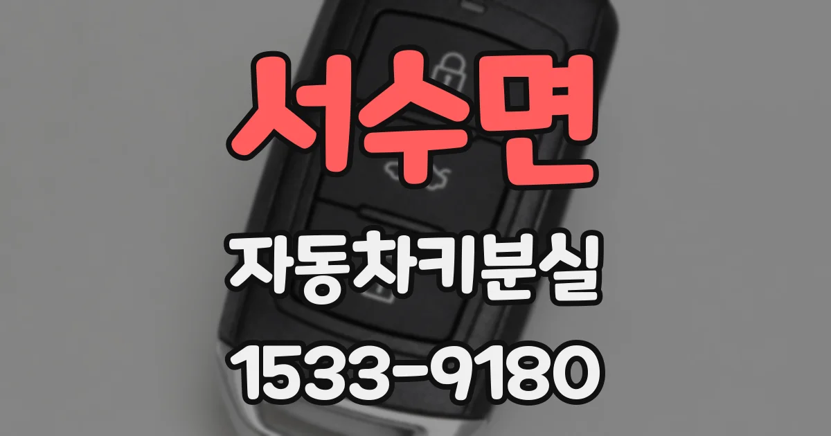 서수면 자동차키분실