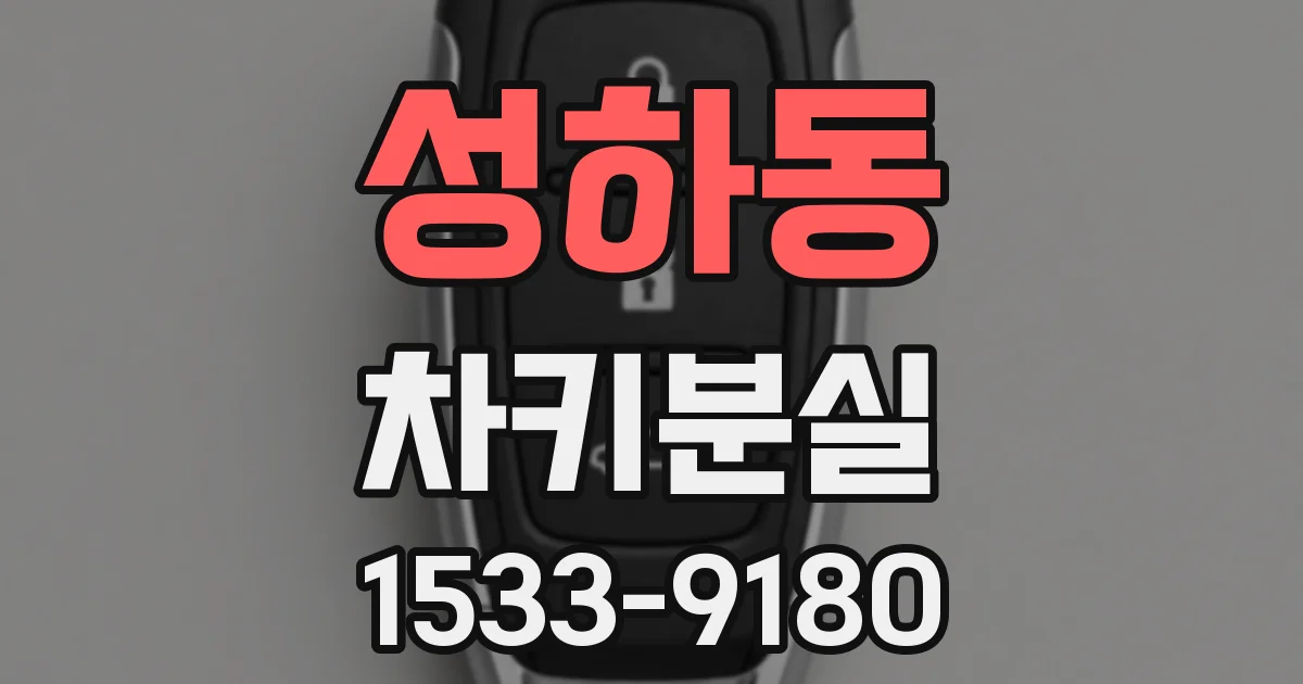 성하동 차키분실