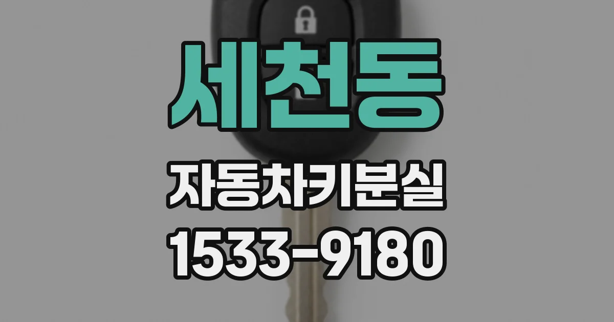 세천동 자동차키분실