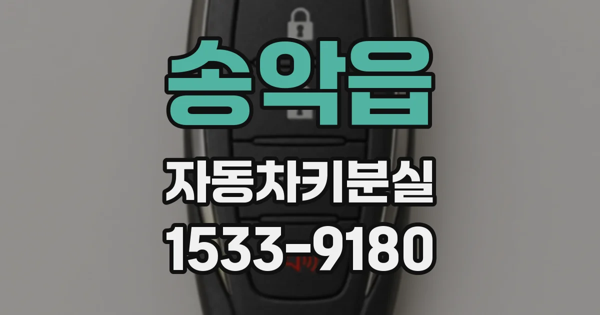 송악읍 자동차키분실