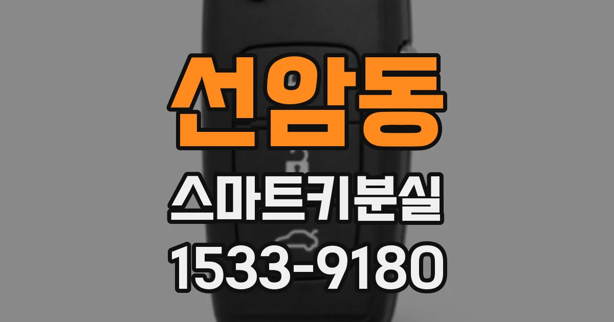 선암동 스마트키분실