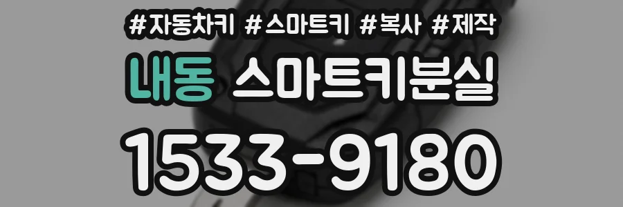 내동 스마트키분실