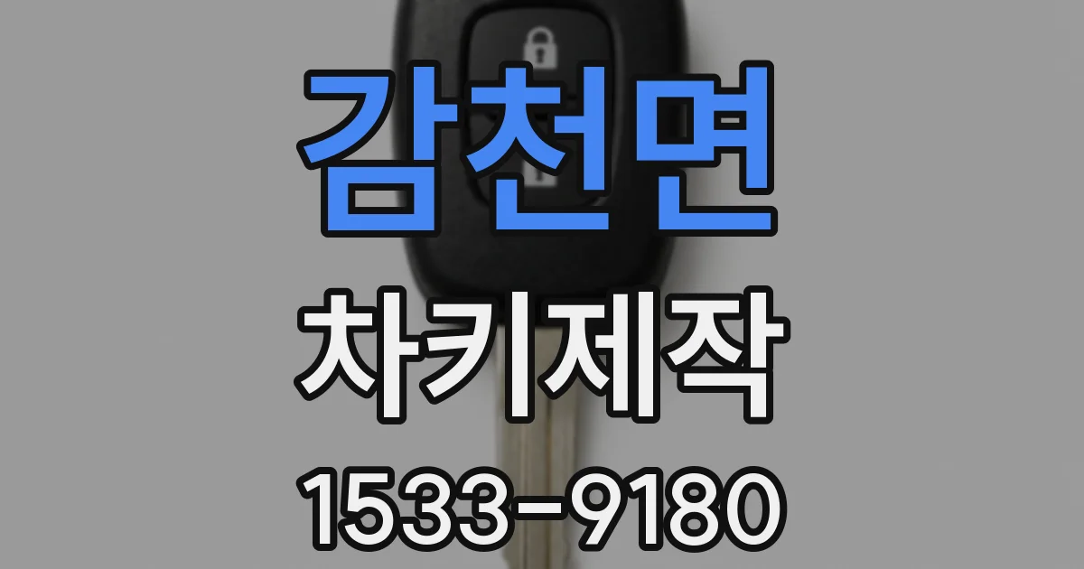 감천면 차키제작