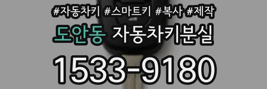 도안동 자동차키분실