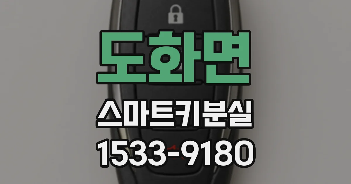 도화면 스마트키분실