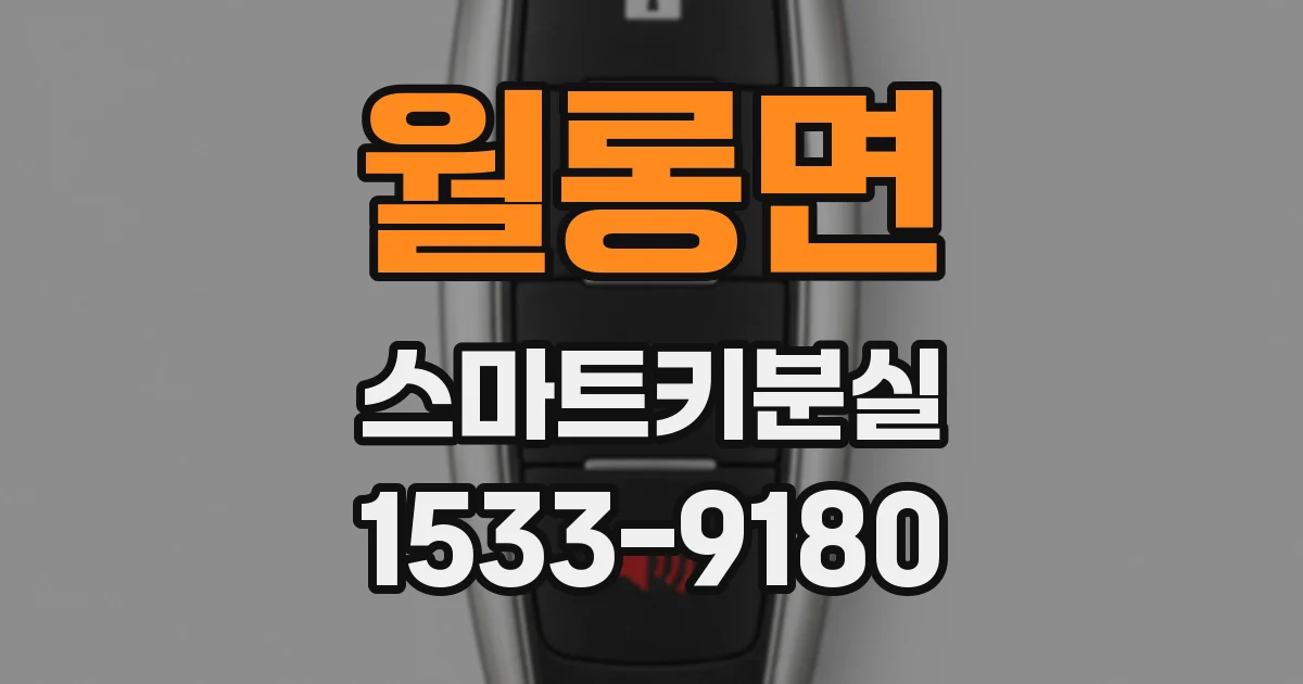월롱면 스마트키분실