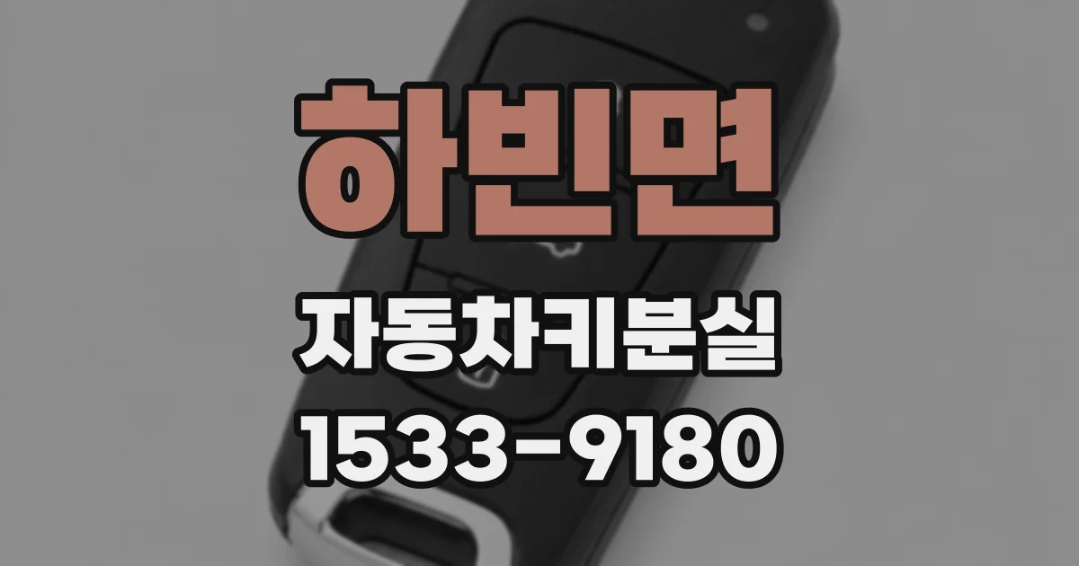 하빈면 자동차키분실