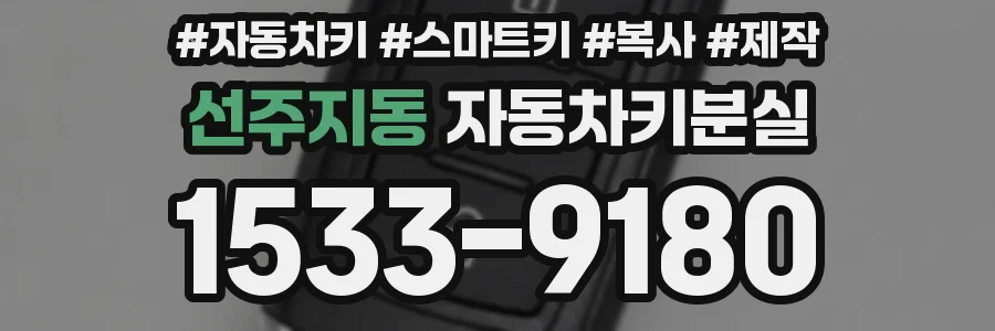 선주지동 자동차키분실