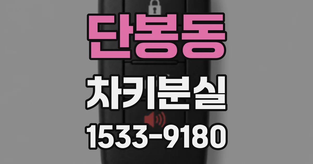 단봉동 차키분실
