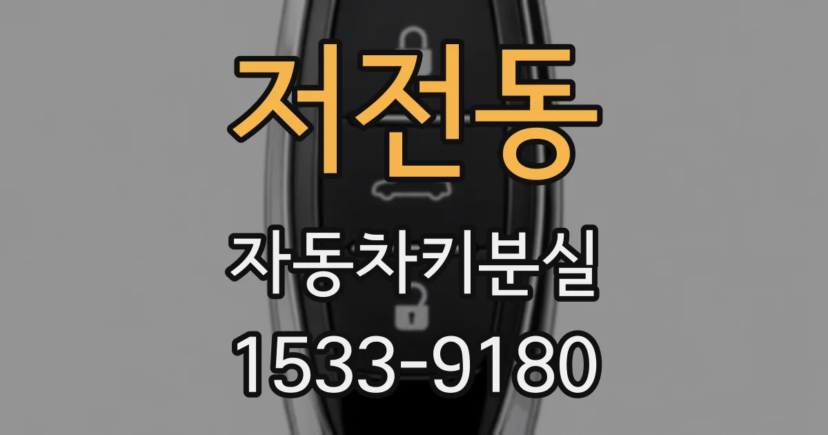 저전동 자동차키분실